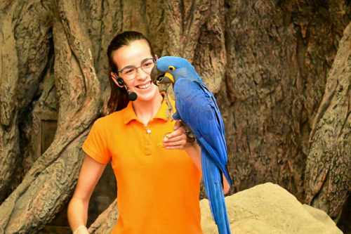 забележителности на Tенерифе