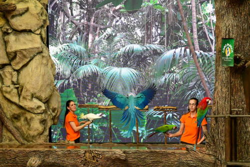 забележителности на Tенерифе