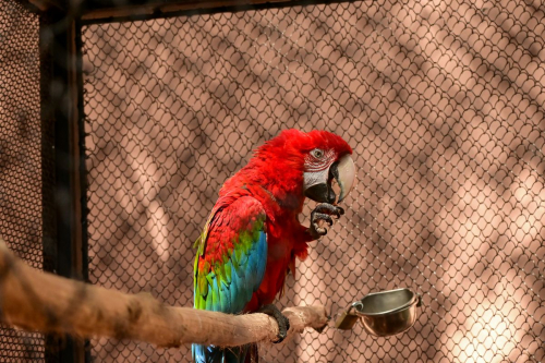 забележителности на Tенерифе