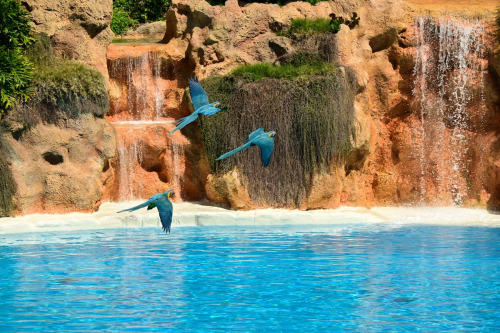 забележителности на Tенерифе