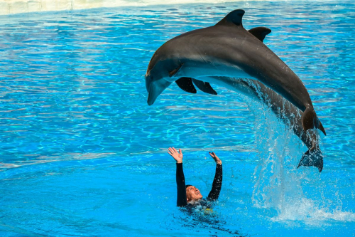 забележителности на Tенерифе