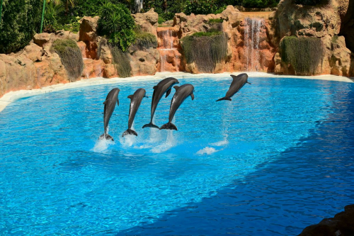 забележителности на Tенерифе