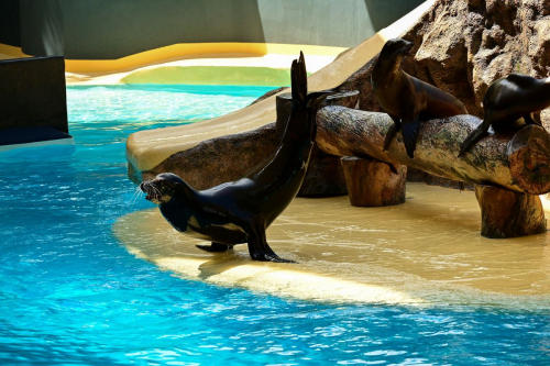 забележителности на Tенерифе