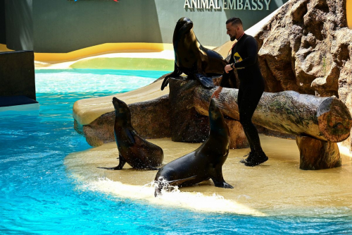 забележителности на Tенерифе