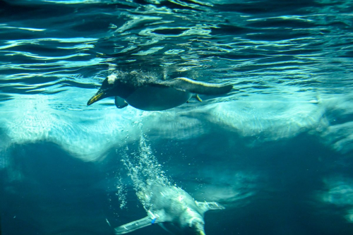 забележителности на Tенерифе