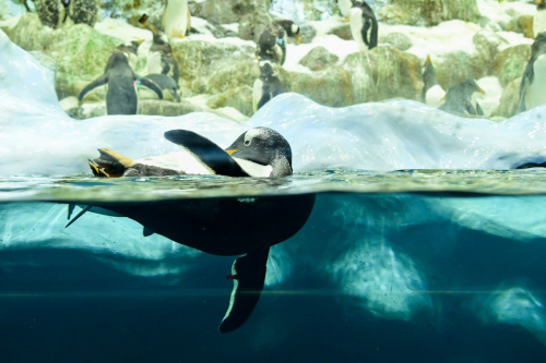 забележителности на Tенерифе