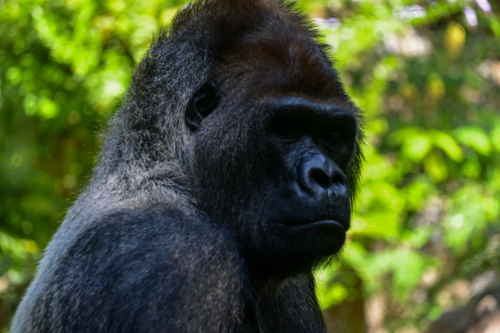 забележителности на Tенерифе