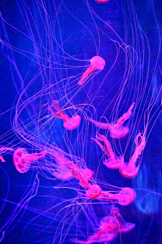 забележителности на Tенерифе