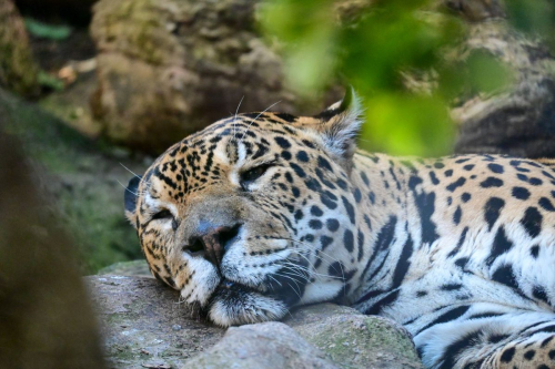 забележителности на Tенерифе