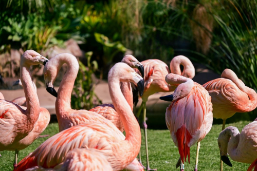 забележителности на Tенерифе