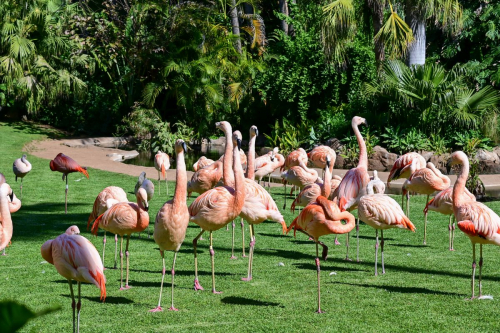 забележителности на Tенерифе