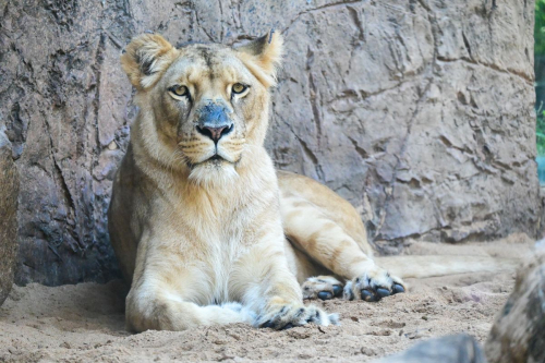 забележителности на Tенерифе