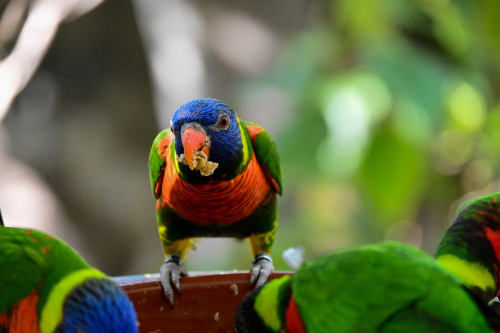 забележителности на Tенерифе
