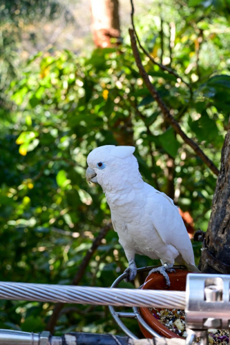 забележителности на Tенерифе