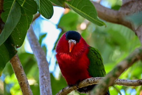 забележителности на Tенерифе
