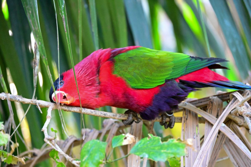 забележителности на Tенерифе