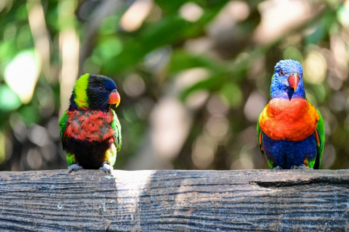забележителности на Tенерифе