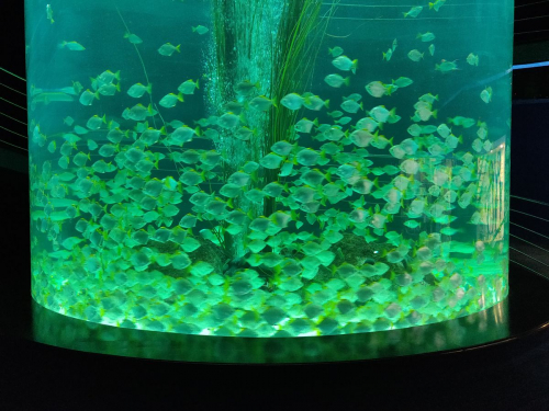 забележителности на Tенерифе