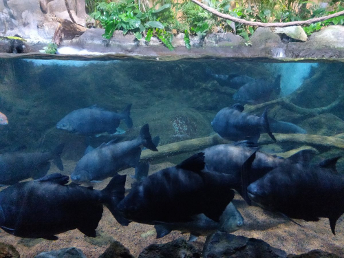 забележителности на Tенерифе