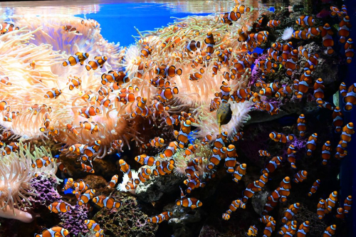 забележителности на Tенерифе