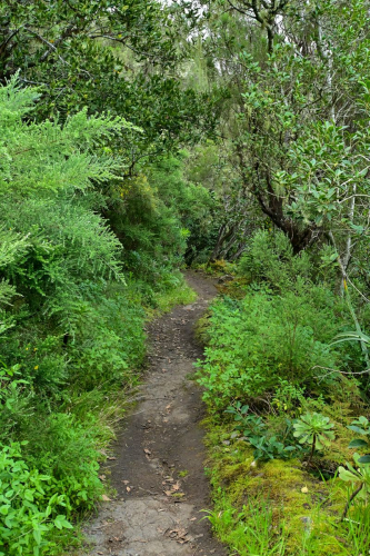 забележителности на Tенерифе