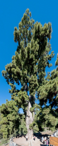 забележителности на Tенерифе