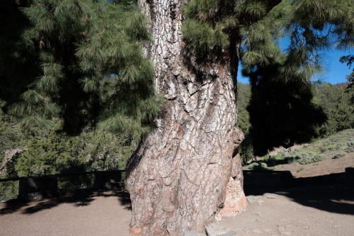 забележителности на Tенерифе