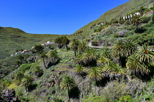 забележителности на Tенерифе