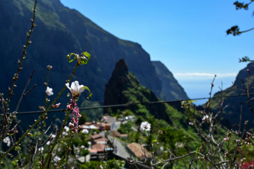 забележителности на Tенерифе