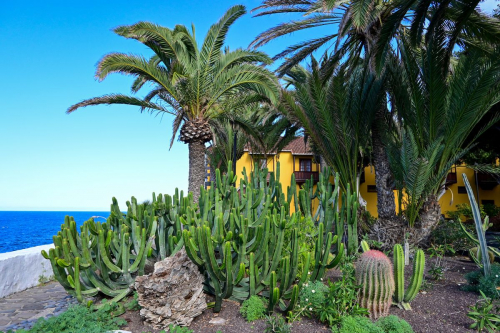 забележителности на Tенерифе