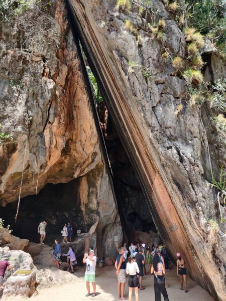 s IMG 20250312 115519