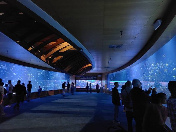 Аквариумът Океанографик във Валенсия