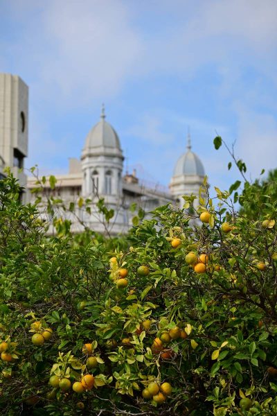 Забележителности във Валенсия