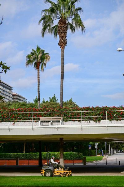 Градините Турия, Валенсия