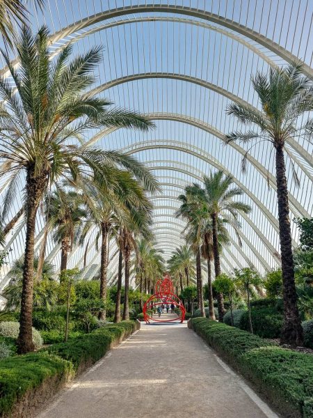 Градината Умбракъл, Валенсия