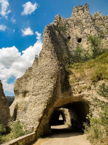 s IMG 20210811 143922