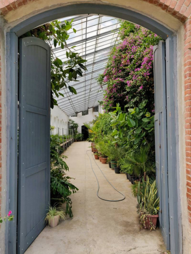 s IMG 20210813 122241